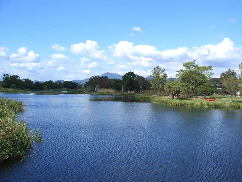 江津湖の水辺